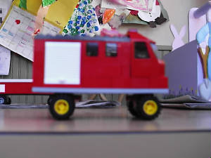 moldandfd002.jpg