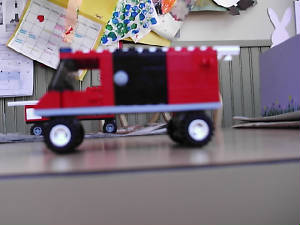moldandfd003.jpg
